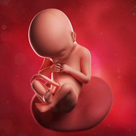 کم شدن حرکات جنین در هفته 22